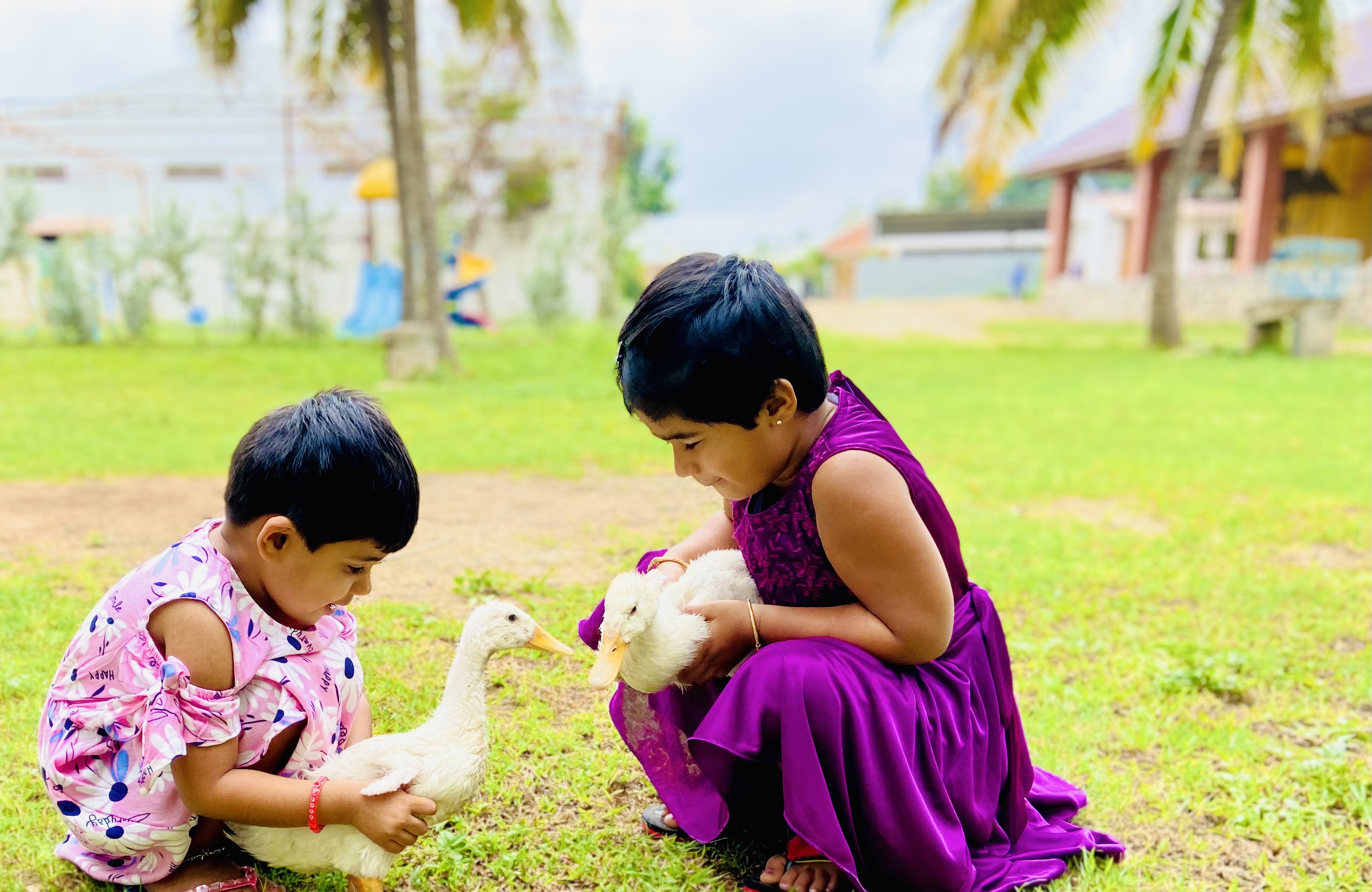 Cotton Valley School − Education & Cotton Valley School