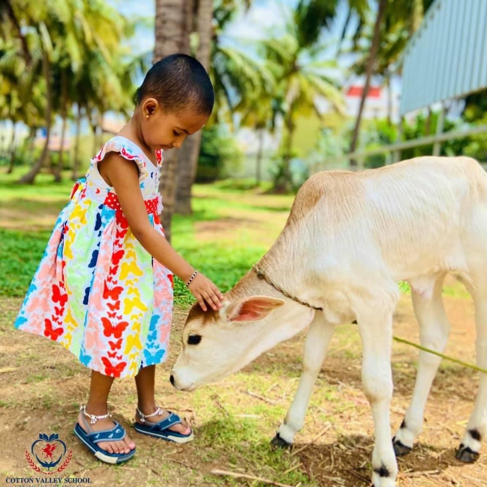 Cotton Valley School − Education & Cotton Valley School