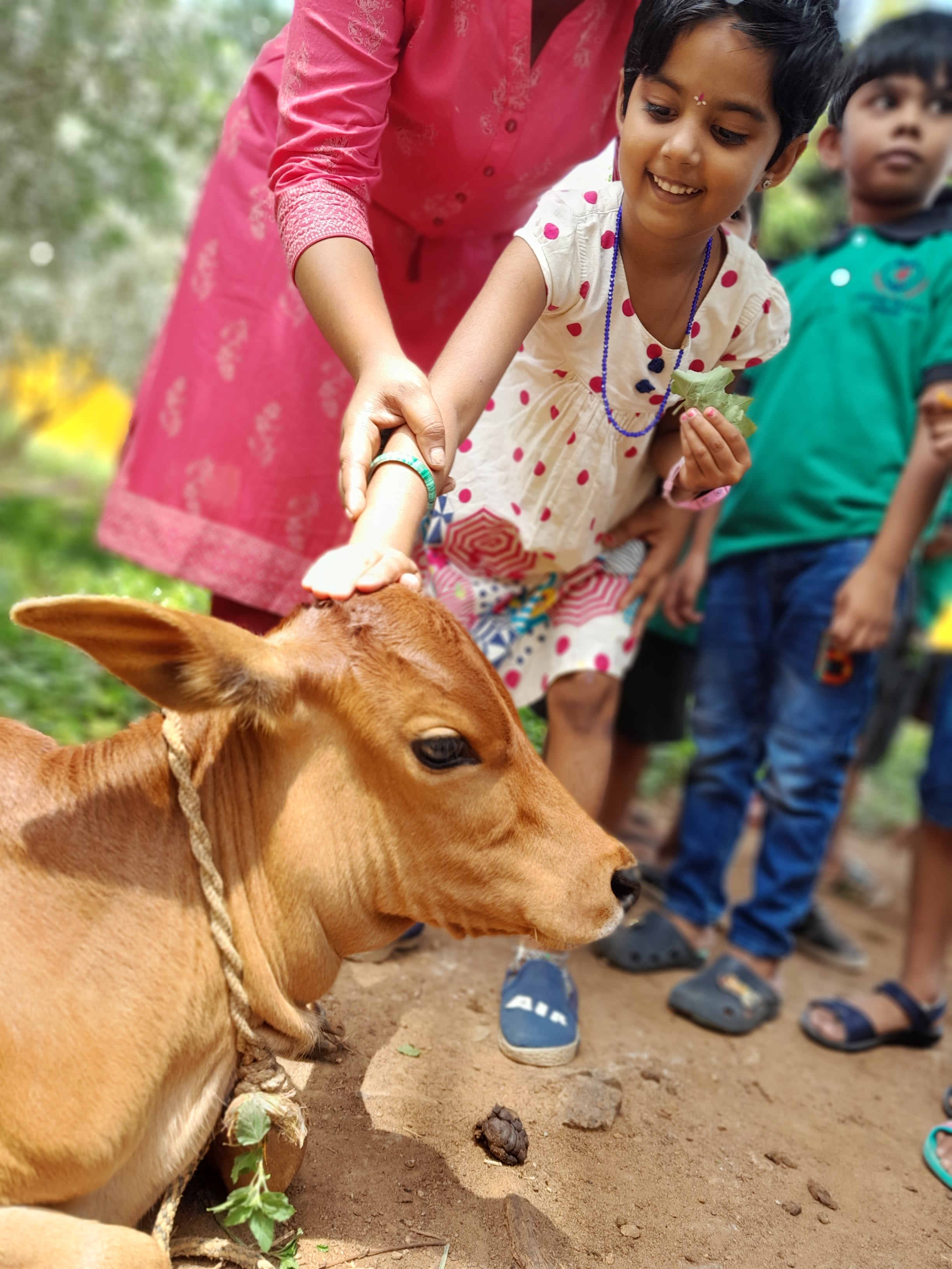 Cotton Valley School − Education & Cotton Valley School